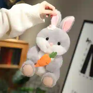 25cm