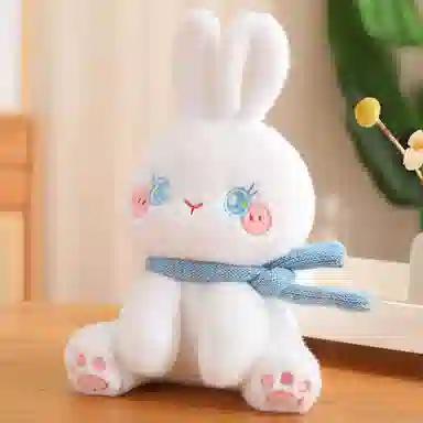 30cm50cm