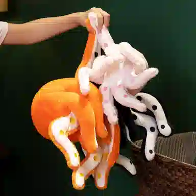 24cm30cm