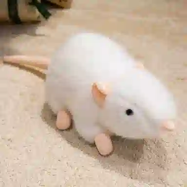 20cm30cm