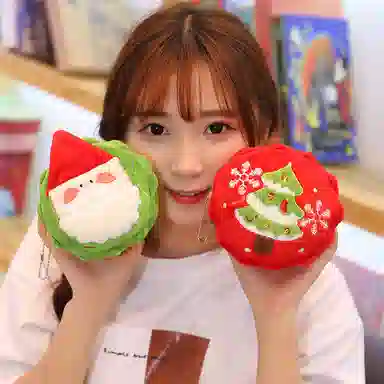 10cm25cm