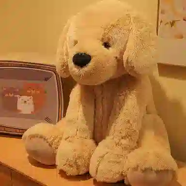 35cm55cm
