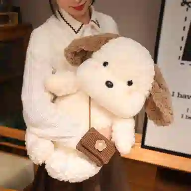 25cm