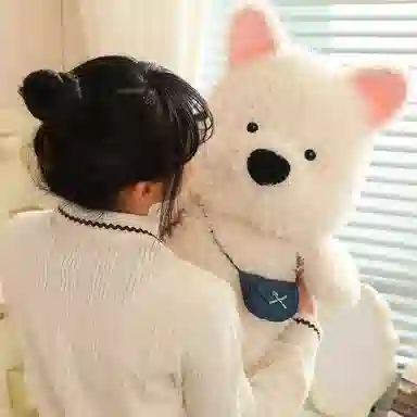 3 22cm35cm45cm
