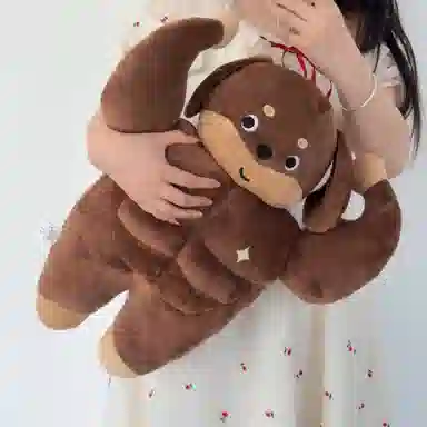50cm