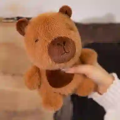 17cm
