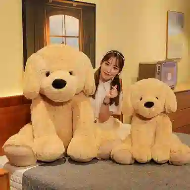 35cm55cm