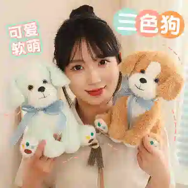25cm