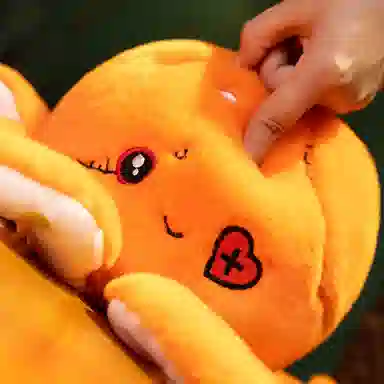 24cm30cm