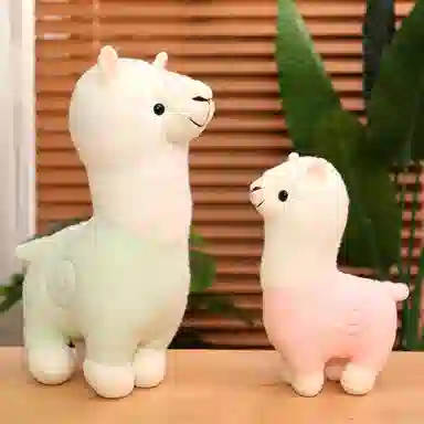 25cm35cm80cm