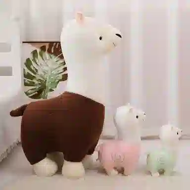 25cm35cm80cm