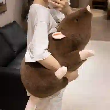 20cm30cm