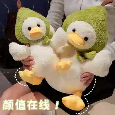 30cm40cm