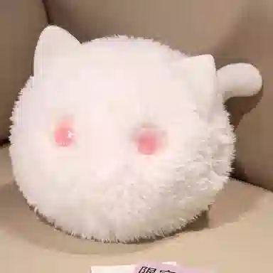 15cm20cm