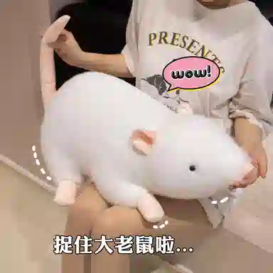 20cm30cm