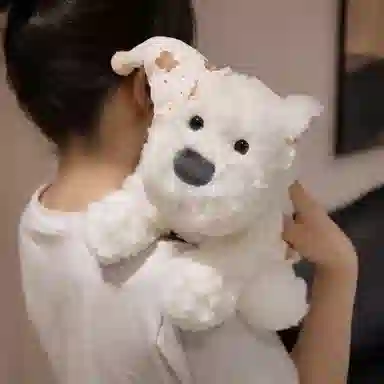 23cm