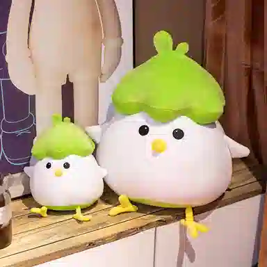 25cm45cm