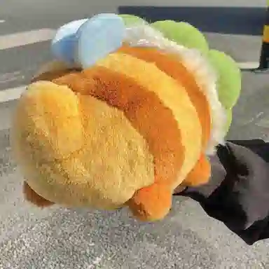 25cm40cm60cm