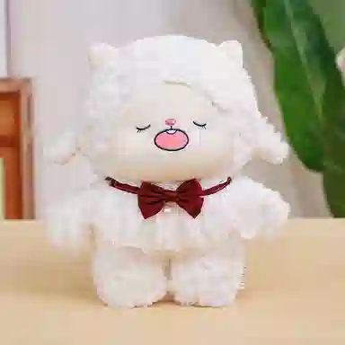 30cm