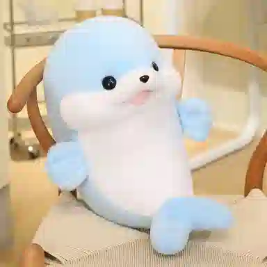 35cm50cm