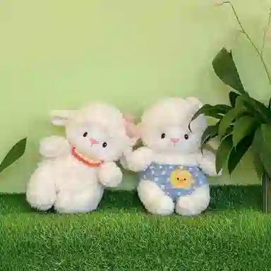 25cm35cm45cm