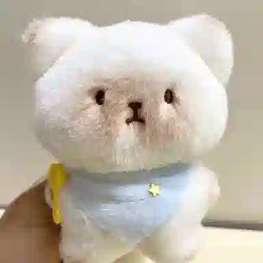 12cm