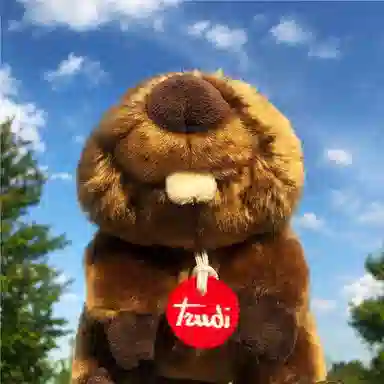 TRUDI 19cm26cm