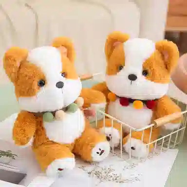 25cm35cm45cm