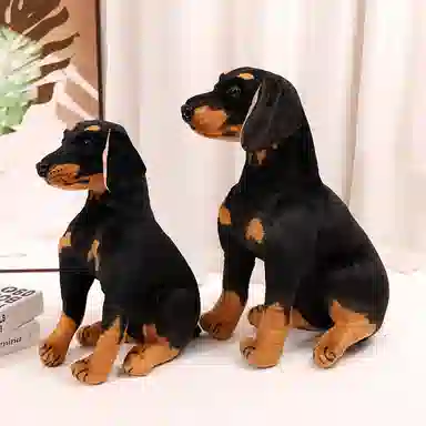25cm30cm40cm45cm55cm75cm