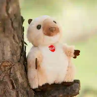 TRUDI 9cm