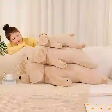 50cm80cm100cm