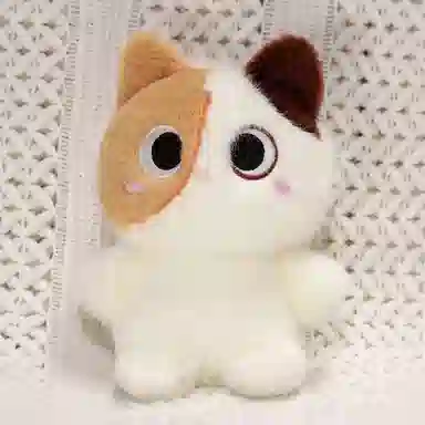 20cm