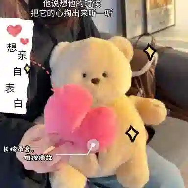 35cm55cm