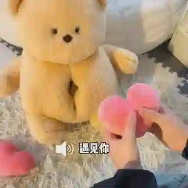 35cm55cm