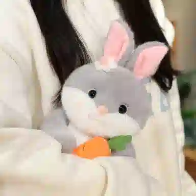25cm