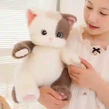 38cm