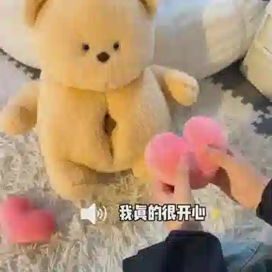 35cm55cm