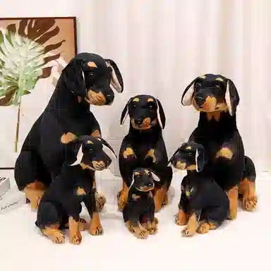 25cm30cm40cm45cm55cm75cm