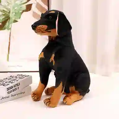 25cm30cm40cm45cm55cm75cm