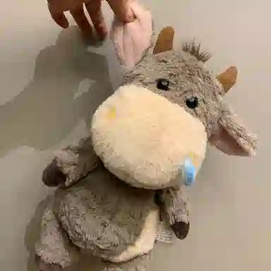 25cm40cm60cm