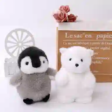 23cm30cm