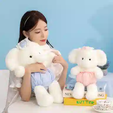 33cm45cm