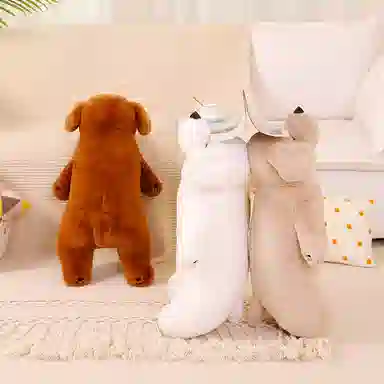50cm80cm100cm