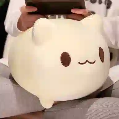 20cm25cm