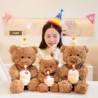 40cm55cm