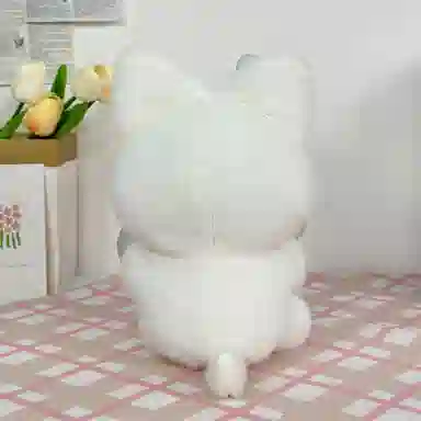 25cm