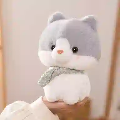 23cm