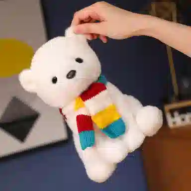 23cm25cm