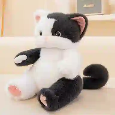 38cm