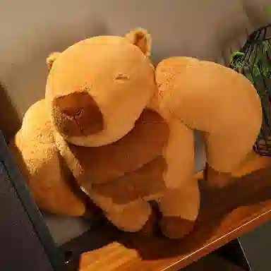 45cm65cm75cm